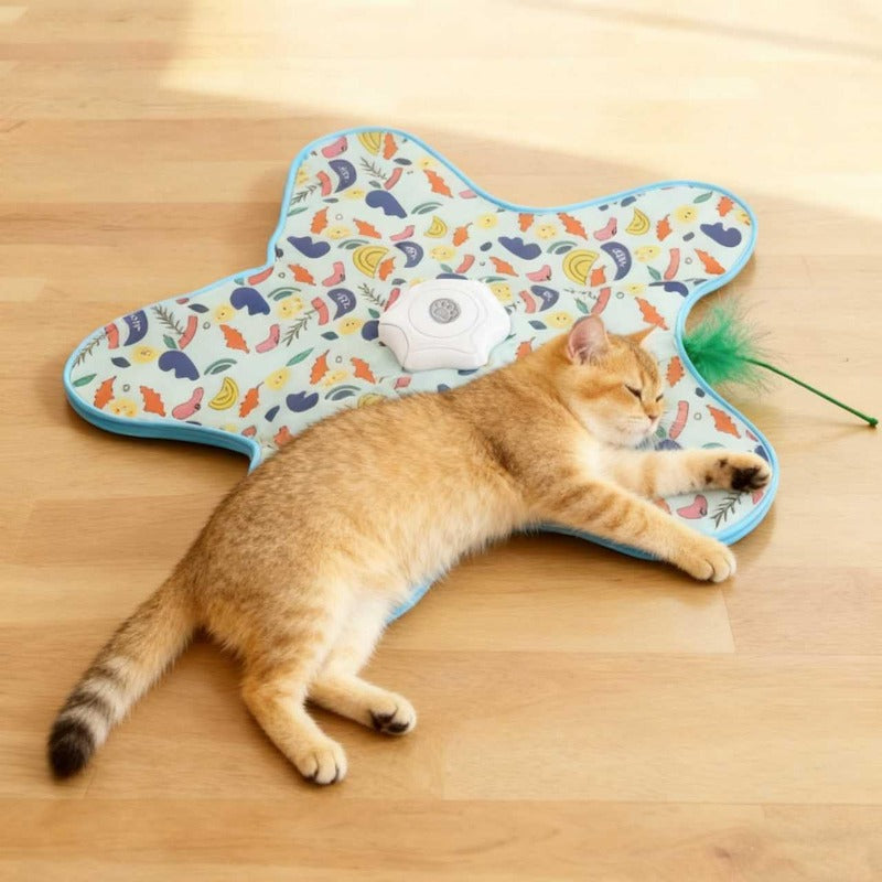 Interactive Hide and Seek Toy