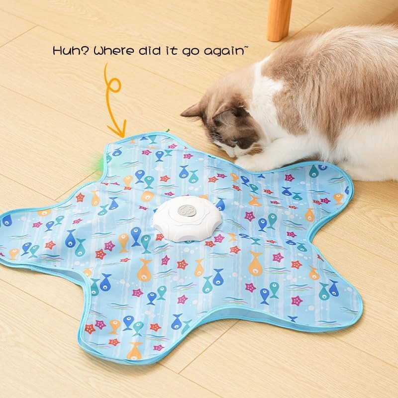 Interactive Hide and Seek Toy